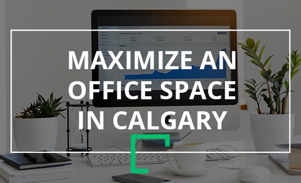 maximize, office space, calgary